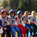 Unsere Mini-Adler
