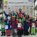 Miniskifliegen1